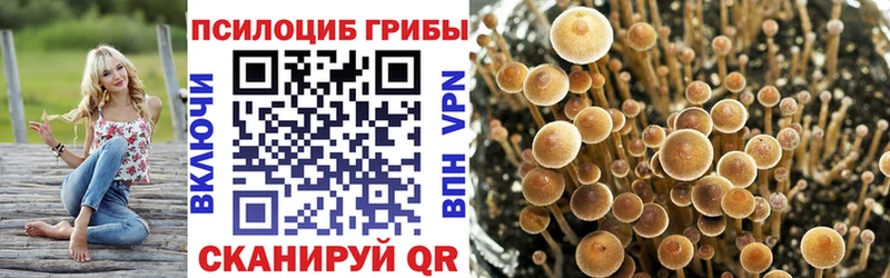 Псилоцибиновые грибы Cubensis Амурск