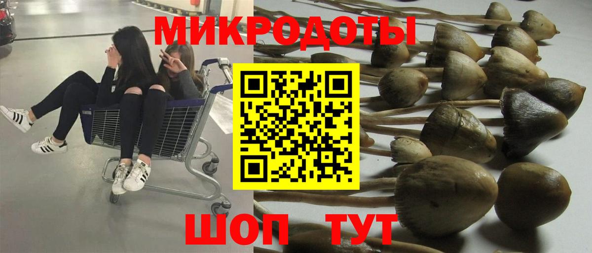 Псилоцибиновые грибы Psilocybe  Амурск 