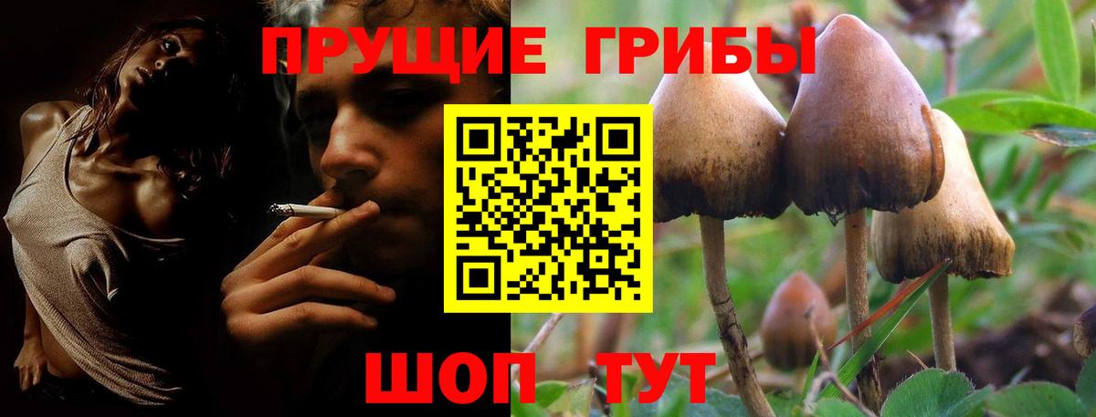 Галлюциногенные грибы Psilocybe  Вход с VPN  Амурск  Галлюциногенные грибы MAGIC MUSHROOMS 