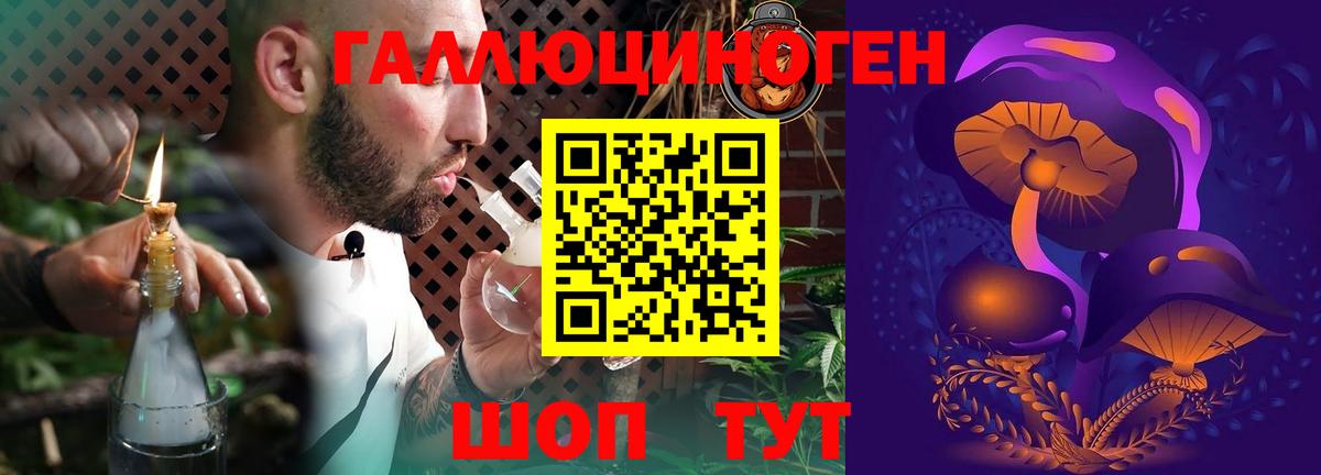 Псилоцибиновые грибы ЛСД Амурск